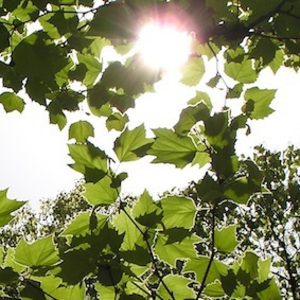 �ۤ��ޤ������ڴ��۶ʡ�