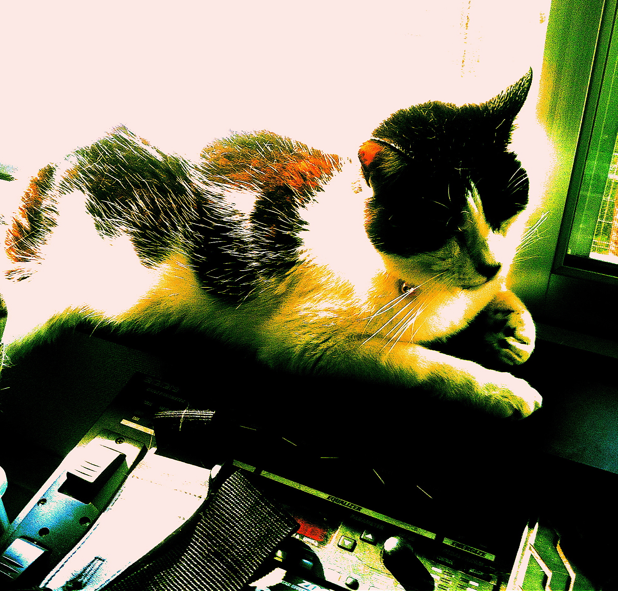 12/1 ǭ����Dsui 