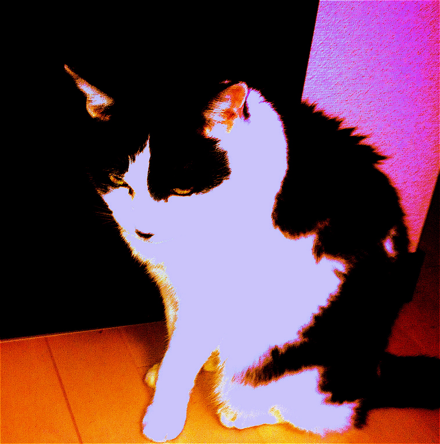 2014 ������