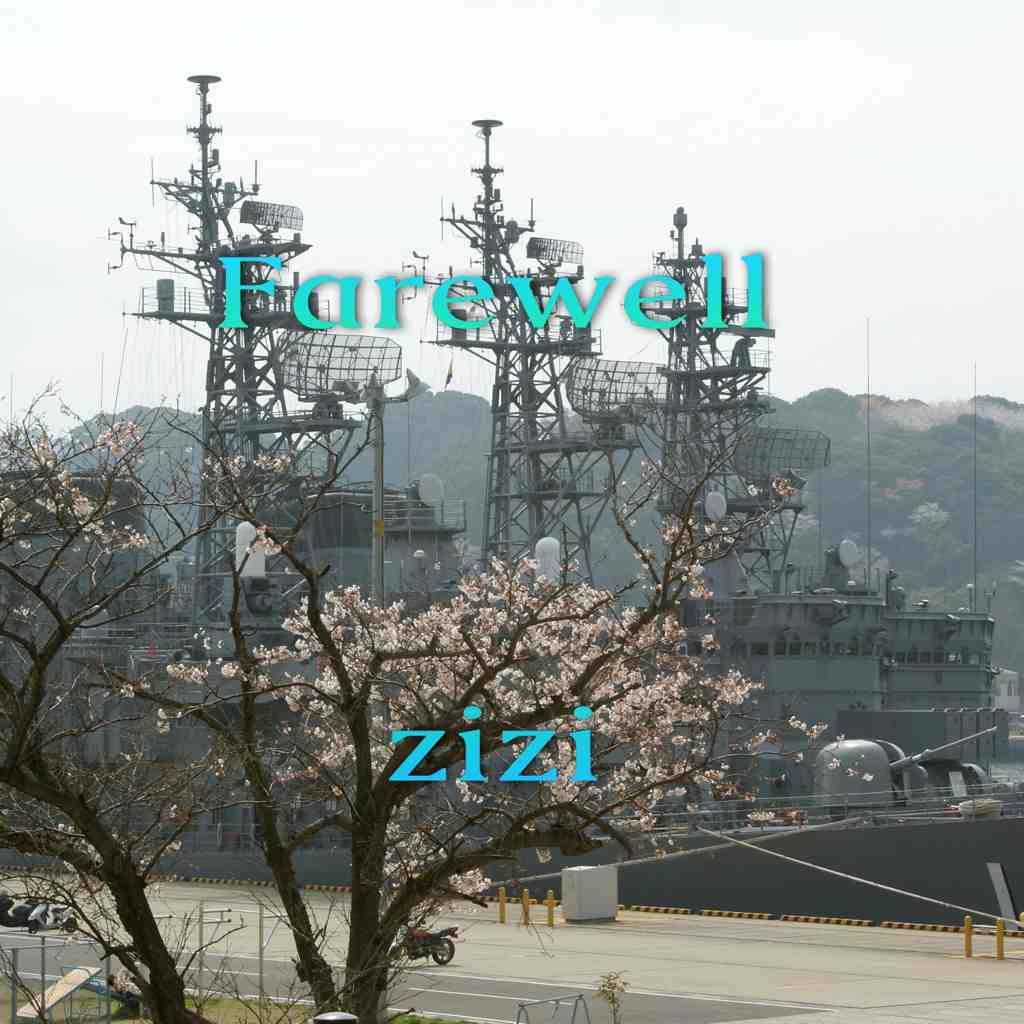 Farewell�ǥ�.mp3