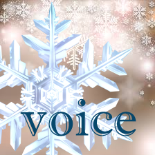voice