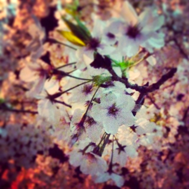 �� -Do not let it down-