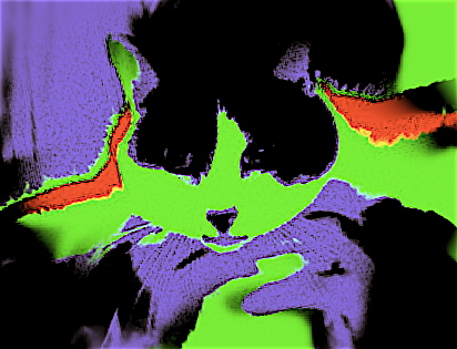 ������������������D