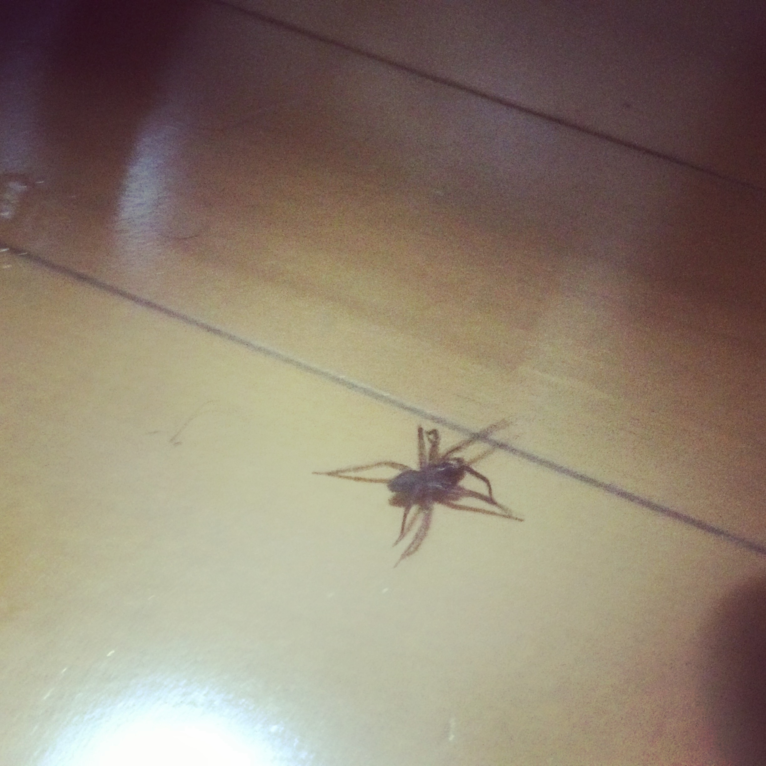 �������ߤ�