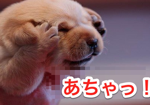 ����ʤФ��ʡ�����