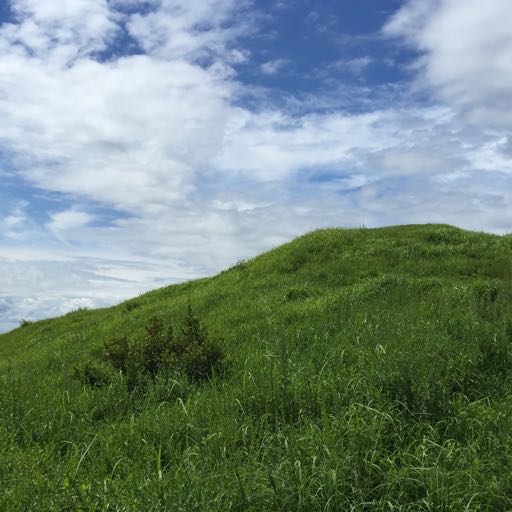 �ϵ���Фε� inst version