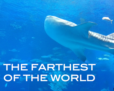 �ϵ�ΰ��ֱ󤤾��