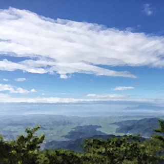 ������Υ��˥�OP���ζ�