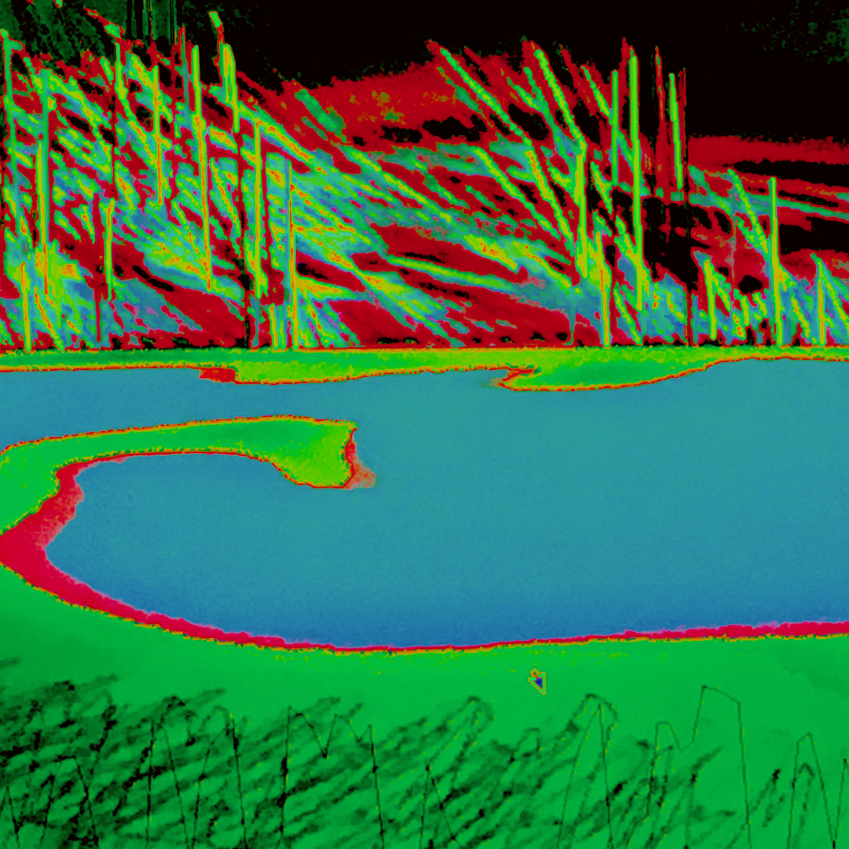 �����ŷ�Ȥ������