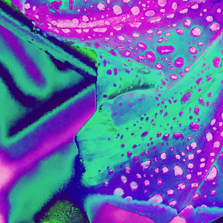 musk Part3☆*:.。. o(≧面≦)o .。.:*☆+ Part4