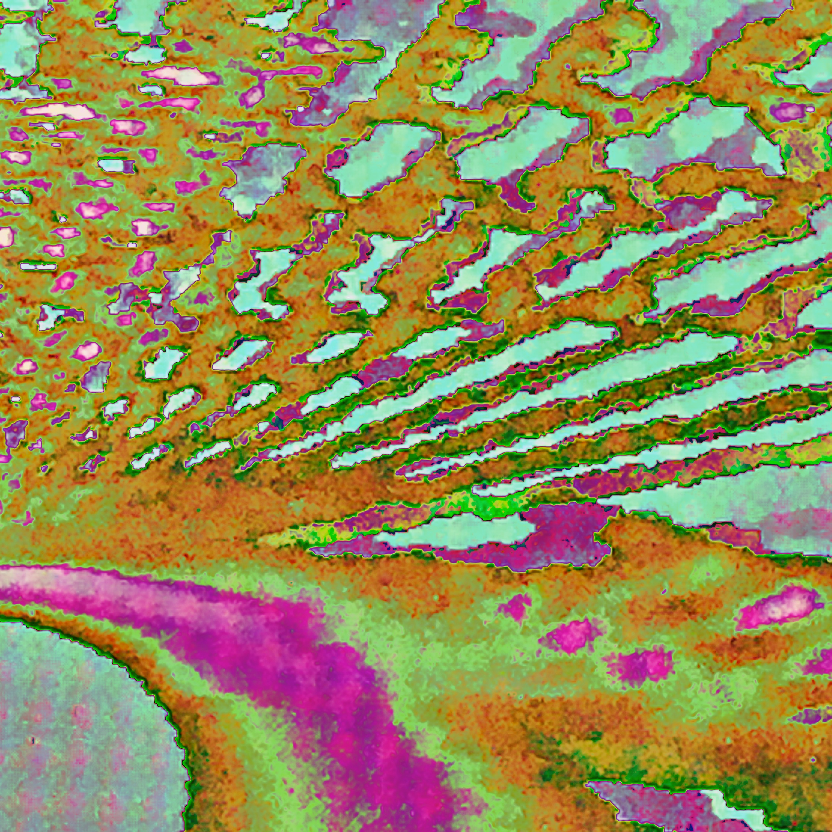 strange sky��ͽ����