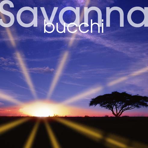 Savanna
