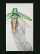 sax & piano with monk��kc���¤�����