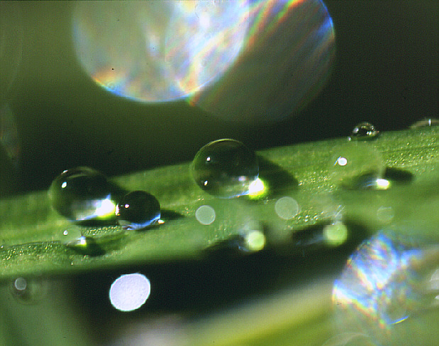 ���ˡ�����