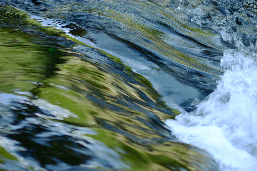 ��Τ褦�� -renewal-