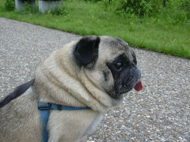 ��ͤܤä������դ�