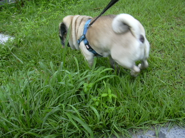 16����ͤ����졪