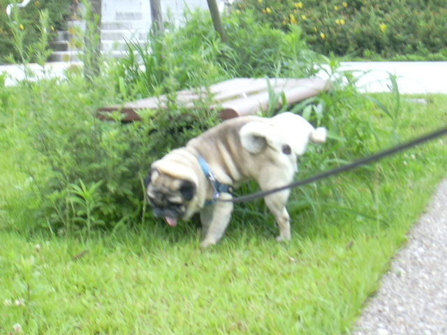 Country Girl In Tokyo!