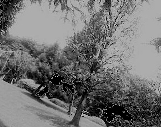 �ֻ�®10��km�������¾2���ʥ�ɥ졼