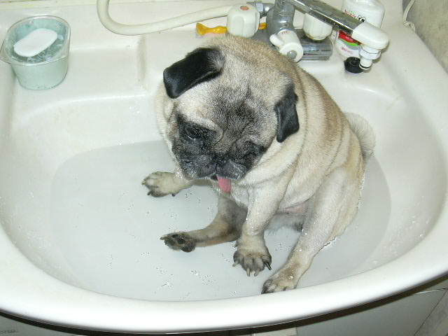 Slow  Funk for 246��