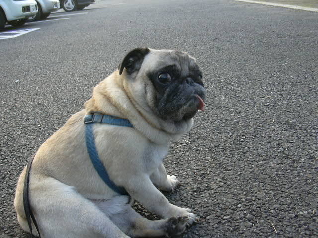 ��Ǯ�Τ�ޤʤߥϥ�������