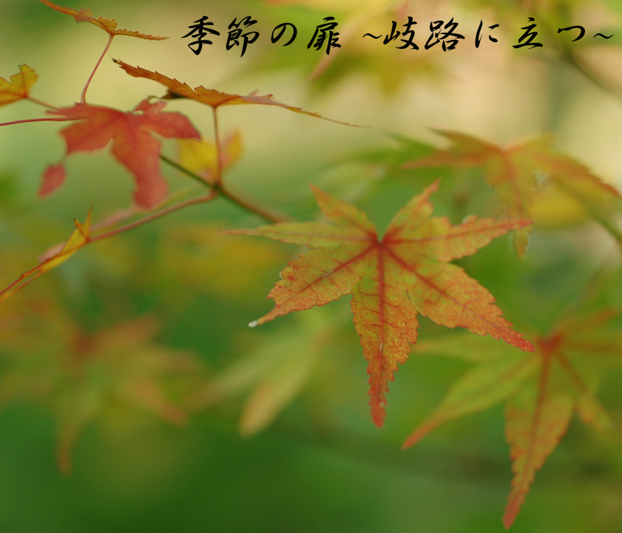 ������� ~��ϩ��Ω��~