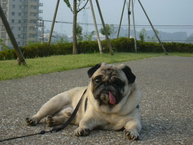 �ޤä��ꡪ���֥롼��