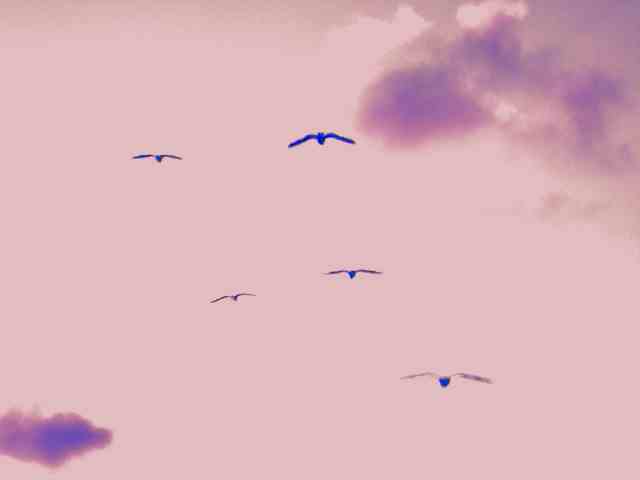 ���Ϥ褦��