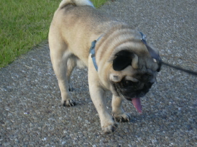 �¹������ˤΥХ顼��