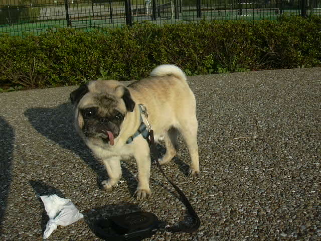 ���Υ��쥭����������