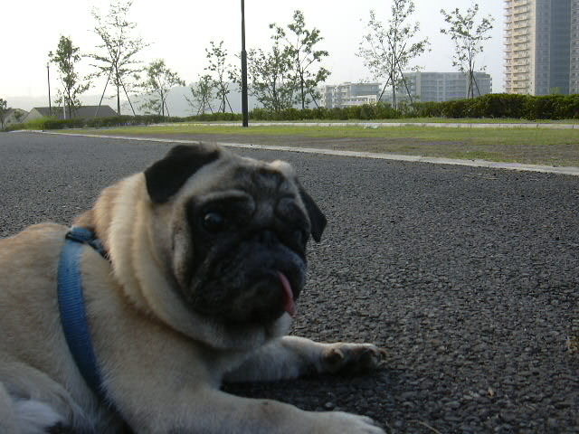 ��ʡ����Թ�ľ���