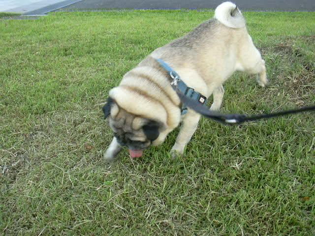 �����ꡢ�����⥹��ƻ