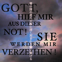 �������Ϸ�ͤγۤ˿�����ޤ줿Ⲥ�������