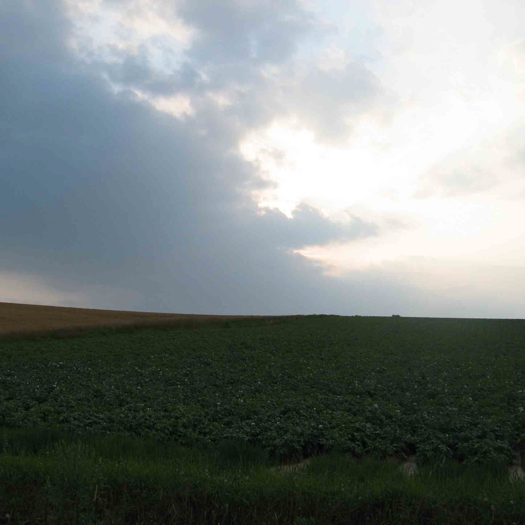 Summer rain(kcsaito&ieie)