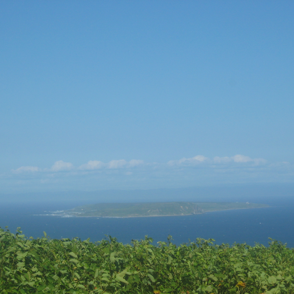 �ɲ��β�(ebiva&ieie)