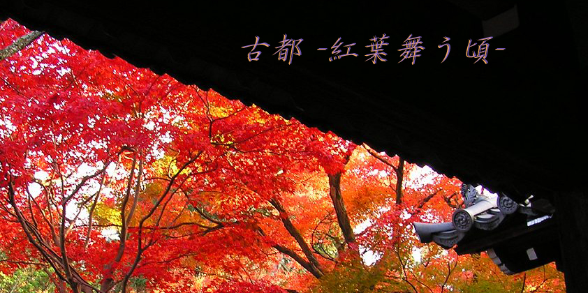 ���� -�����񤦺�-