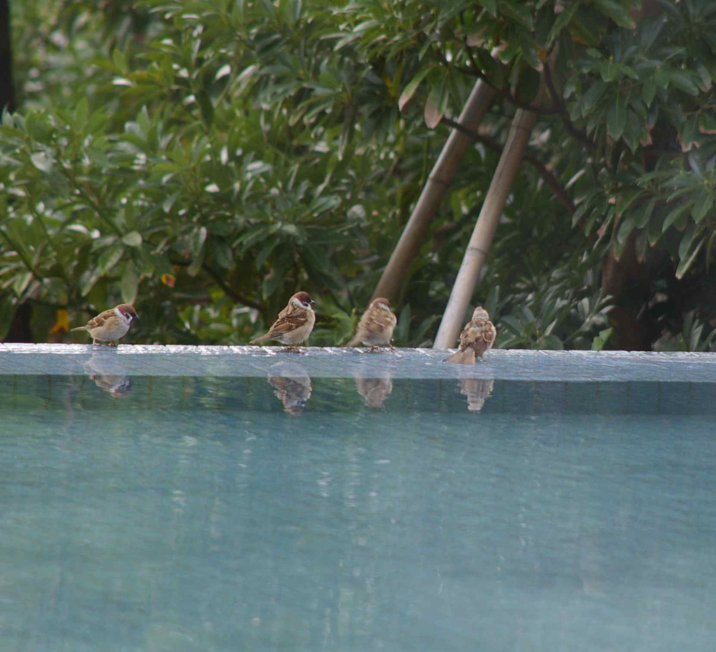 1984's freedom(shinich&ieie)