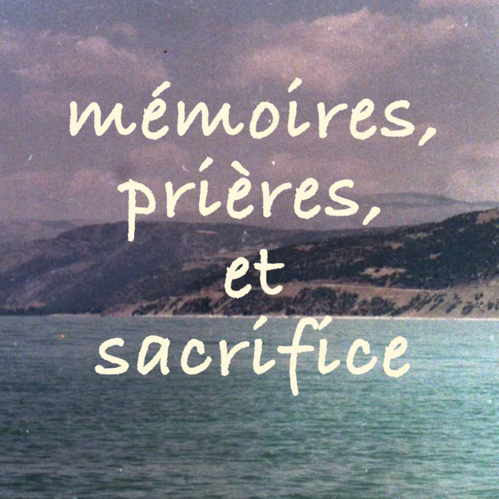 ���ε���ϲ��ɤ���ƤϤʤ�ʤ����ʤ��ʤ餽��ϵ���������