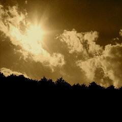 ����Ǯ��