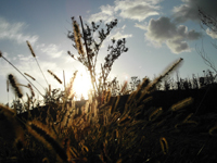 �ǥ����9���޿��Υơ���