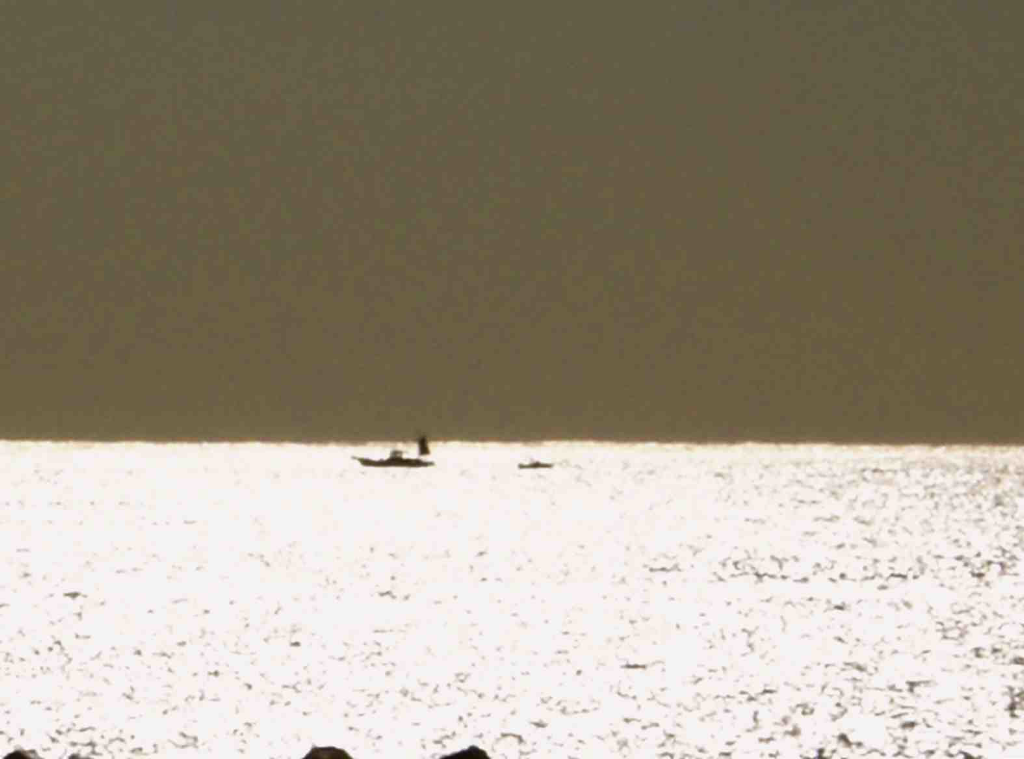 Let's sing BossaNova