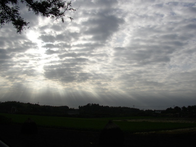 �ǽ�˺�ä��ʤǤ�