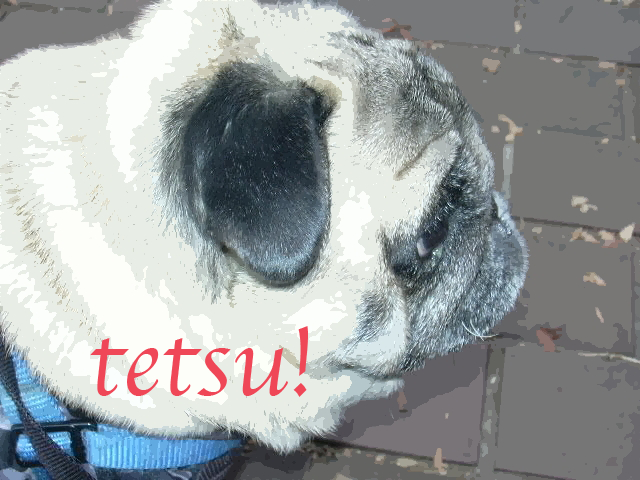 ���쥯�ȥ�����ǡ�I Love You��