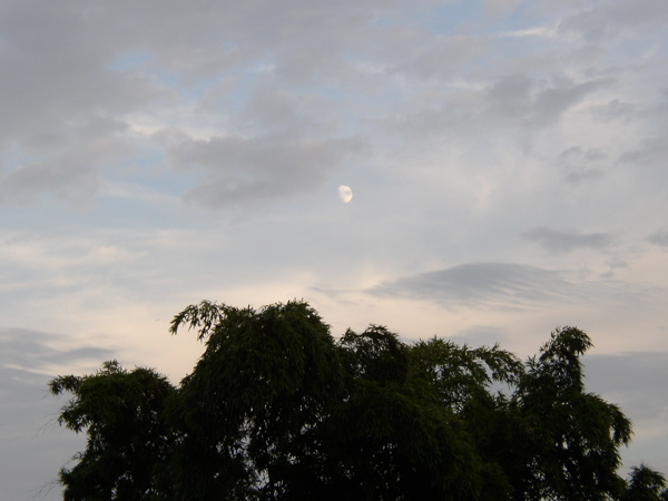 Delayed Guitar String 07