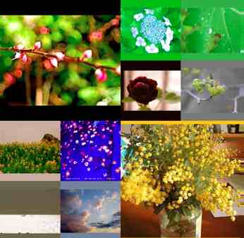 ���֤β֡�kc.ver)