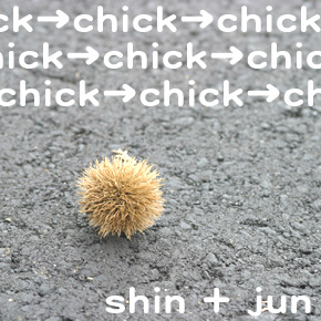 chick��chick��chick