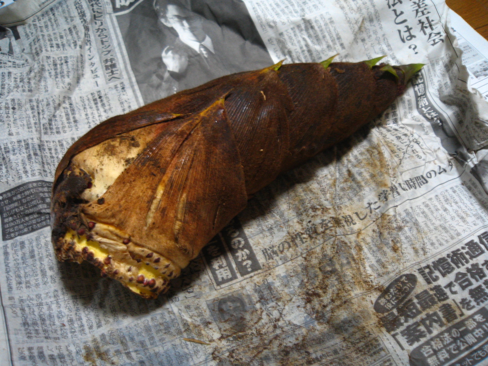 Hello, Mr.Kariyazaki