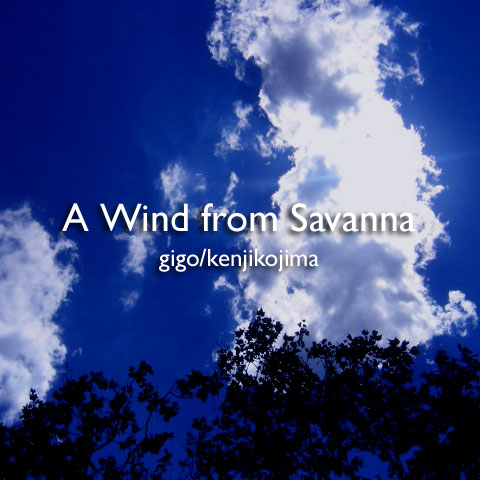A Wind from Savanna