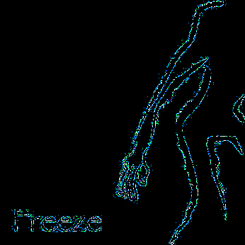 Freeze