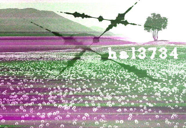 �����ε����Ȼ���